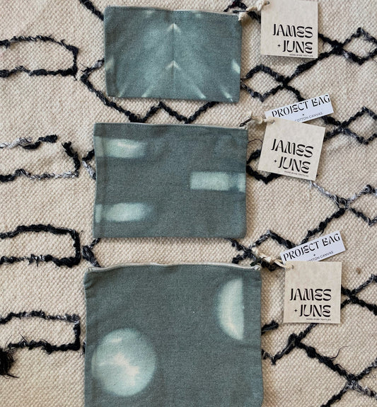 Project Bags